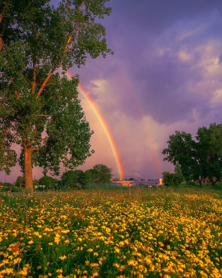 i wish i could be HERE i wish i could be HERE